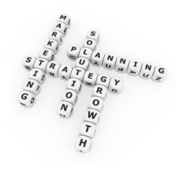 Custom web strategy