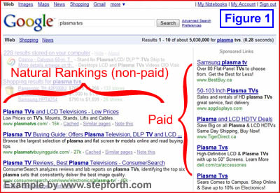 What are natural rankings and what are paid (pay per click) rankings? What are natural rankings and what are paid (pay per click) rankings?