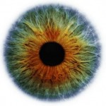 eye