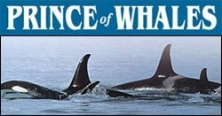 princeofwhales-logo