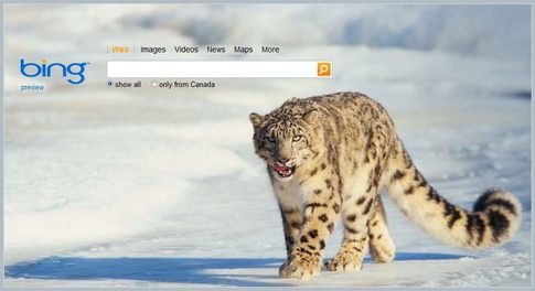 A screenshot of the Bing preview home page (the Canadian edition)