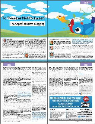 To Tweet or Not To Tweet - an article written by Ross Dunn for the Fall 2008 edition of the Search Marketing Standard